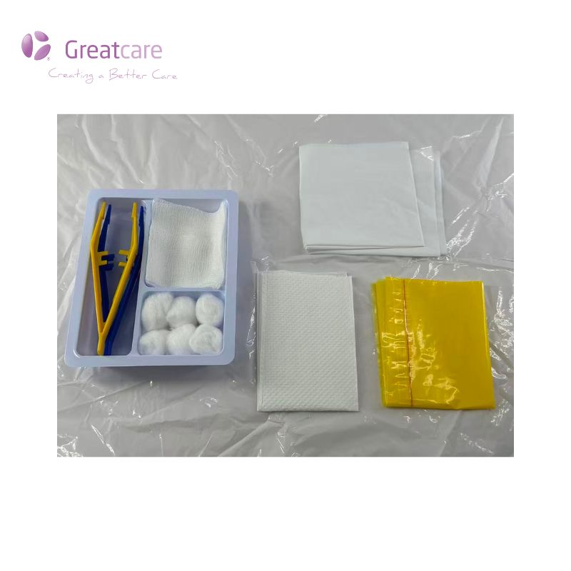 Bộ trang phục cơ bản(PDS-DRS-066-SET)